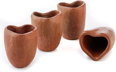 Artisanal Oaxaca Red Clay Tequila Shot Glasses - Handcrafted Heart Design Set
