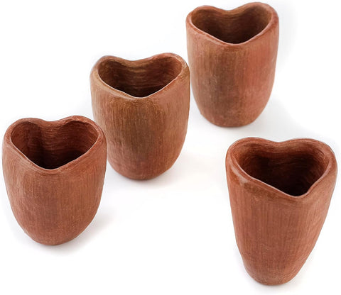 Artisanal Oaxaca Red Clay Tequila Shot Glasses - Handcrafted Heart Design Set