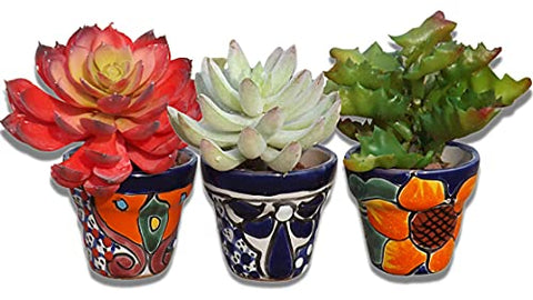 mexican succulent pots Authentic Talavera Hand-Painted Mexican Ceramic Sunflower Pots Set of
