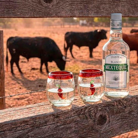 Hand-Blown Glass Barrel Tequila Shot Glasses – Artisan Mexican Barware | Set of 4 - MEXTEQUIL