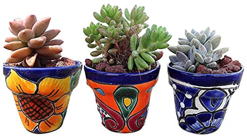 Talavera Hand-Painted Pottery Planters - Set of 3 (Flowers 2.8") - MEXTEQUIL: MEXICRAFT IMPORTS LLC