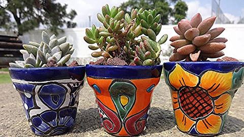 Talavera Hand-Painted Pottery Planters - Set of 3 (Flowers 2.8") - MEXTEQUIL: MEXICRAFT IMPORTS LLC