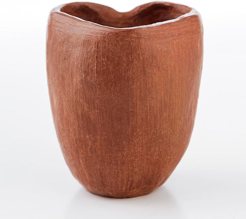 Artisanal Oaxaca Red Clay Tequila Shot Glasses - Handcrafted Heart Design Set