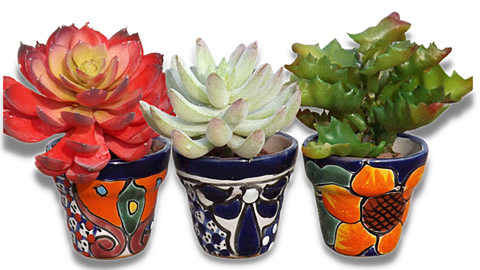 Talavera Hand-Painted Pottery Planters - Set of 3 (Flowers 2.8") - MEXTEQUIL: MEXICRAFT IMPORTS LLC